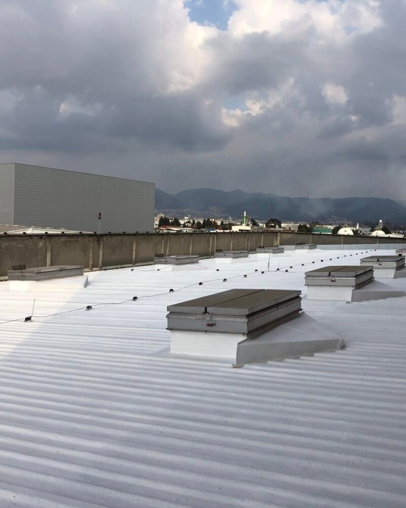 A3P Impercel 5 años - Image 2