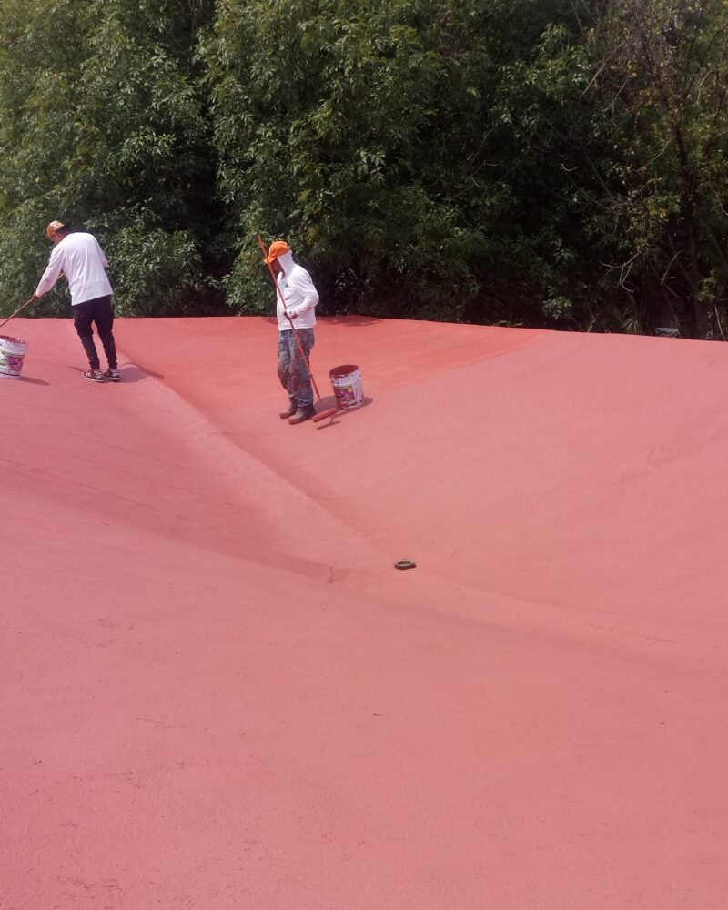 A3P Impercel 5 años - Image 7